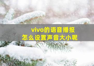 vivo的语音播报怎么设置声音大小呢