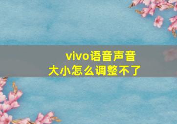 vivo语音声音大小怎么调整不了