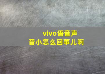 vivo语音声音小怎么回事儿啊