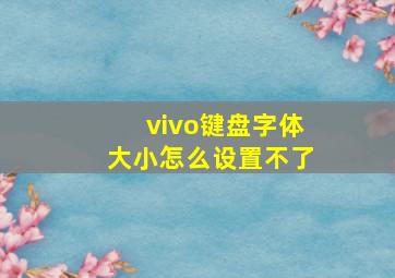 vivo键盘字体大小怎么设置不了