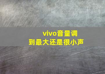 vivo音量调到最大还是很小声