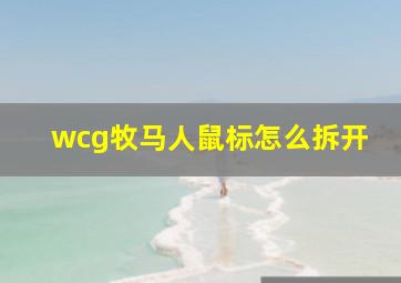 wcg牧马人鼠标怎么拆开