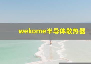 wekome半导体散热器