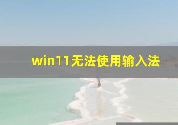 win11无法使用输入法