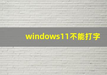 windows11不能打字