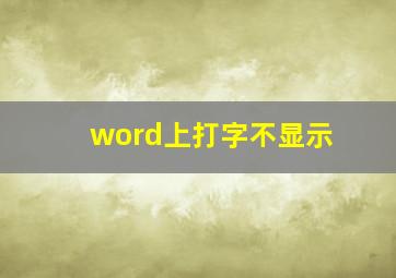 word上打字不显示