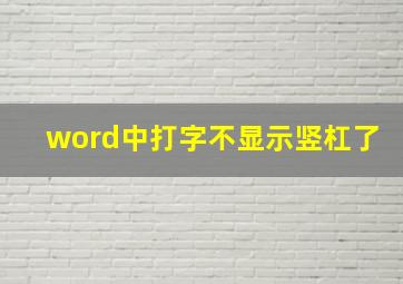 word中打字不显示竖杠了