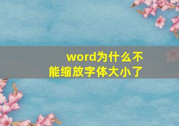 word为什么不能缩放字体大小了