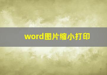 word图片缩小打印