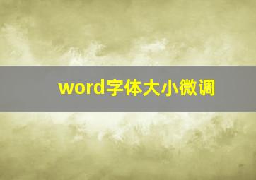 word字体大小微调