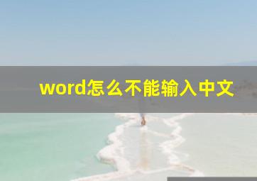 word怎么不能输入中文