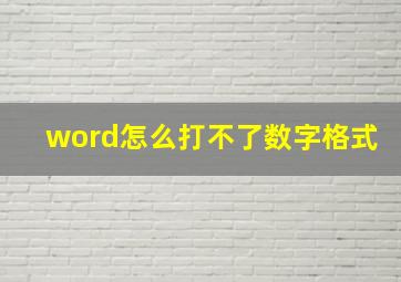 word怎么打不了数字格式