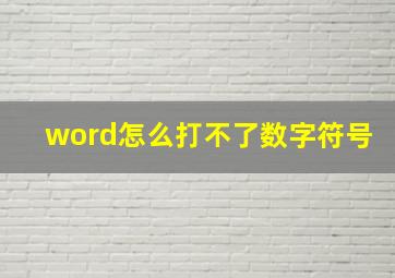 word怎么打不了数字符号