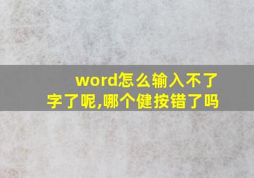 word怎么输入不了字了呢,哪个健按错了吗