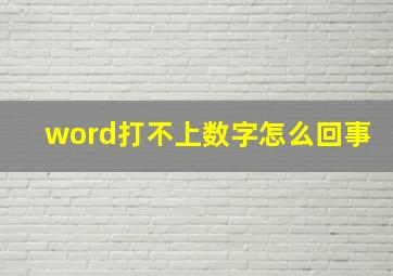 word打不上数字怎么回事