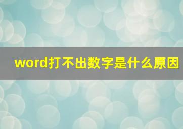 word打不出数字是什么原因