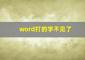 word打的字不见了