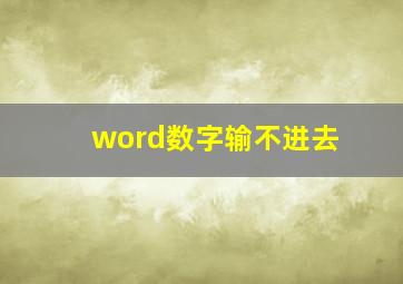 word数字输不进去