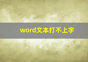 word文本打不上字