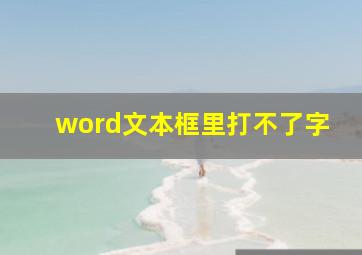 word文本框里打不了字