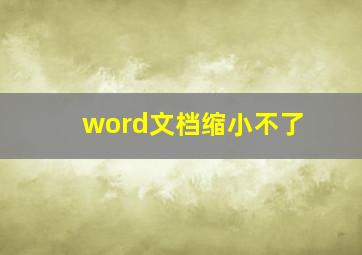 word文档缩小不了