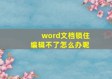 word文档锁住编辑不了怎么办呢