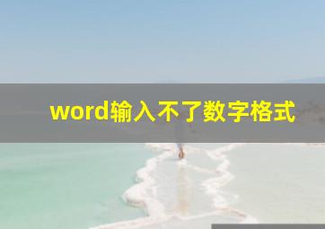 word输入不了数字格式