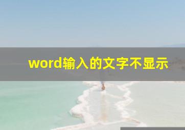 word输入的文字不显示