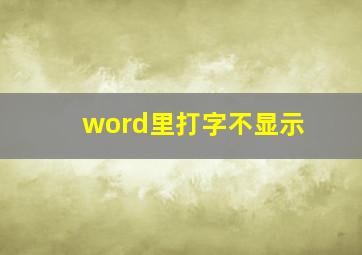 word里打字不显示