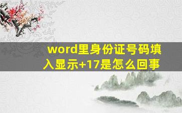 word里身份证号码填入显示+17是怎么回事