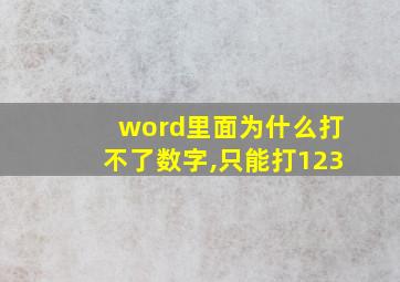 word里面为什么打不了数字,只能打123