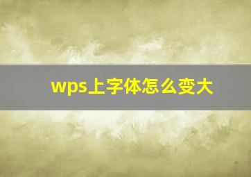 wps上字体怎么变大