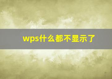 wps什么都不显示了