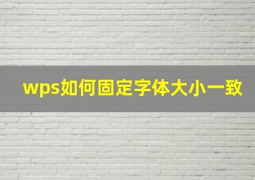 wps如何固定字体大小一致