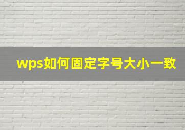 wps如何固定字号大小一致