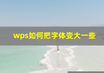 wps如何把字体变大一些