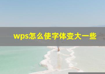 wps怎么使字体变大一些