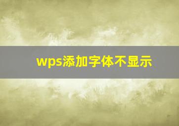 wps添加字体不显示