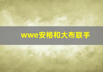 wwe安格和大布联手