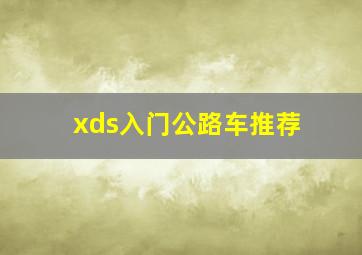 xds入门公路车推荐