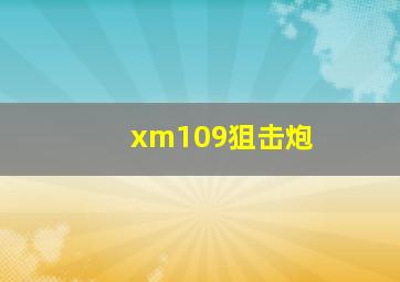 xm109狙击炮