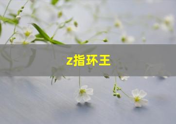 z指环王