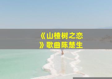 《山楂树之恋》歌曲陈楚生