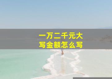 一万二千元大写金额怎么写