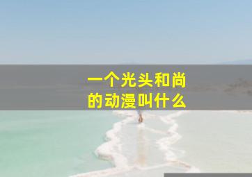 一个光头和尚的动漫叫什么