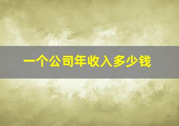 一个公司年收入多少钱