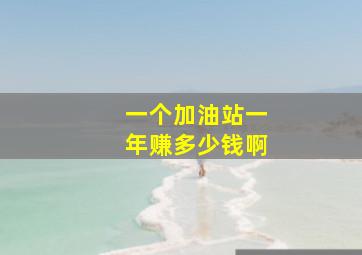 一个加油站一年赚多少钱啊