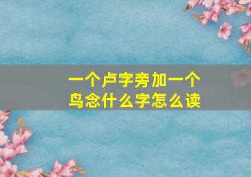 一个卢字旁加一个鸟念什么字怎么读