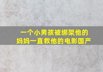 一个小男孩被绑架他的妈妈一直救他的电影国产