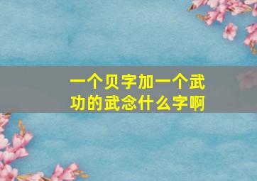 一个贝字加一个武功的武念什么字啊